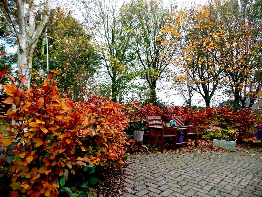 Bed En Breakfast De Pauw Wieringerwaard Esterno foto