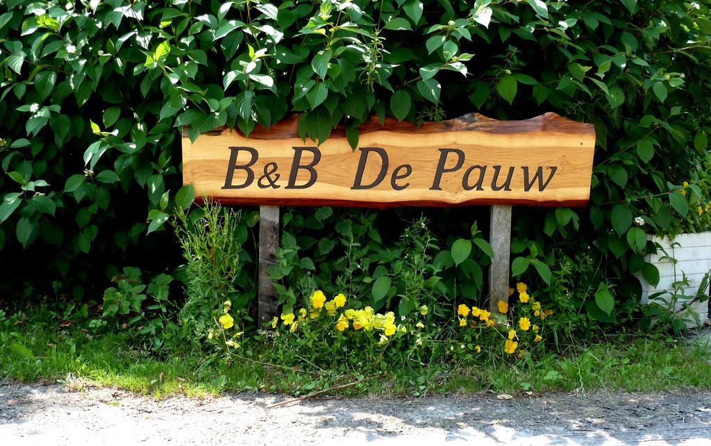 Bed En Breakfast De Pauw Wieringerwaard Camera foto