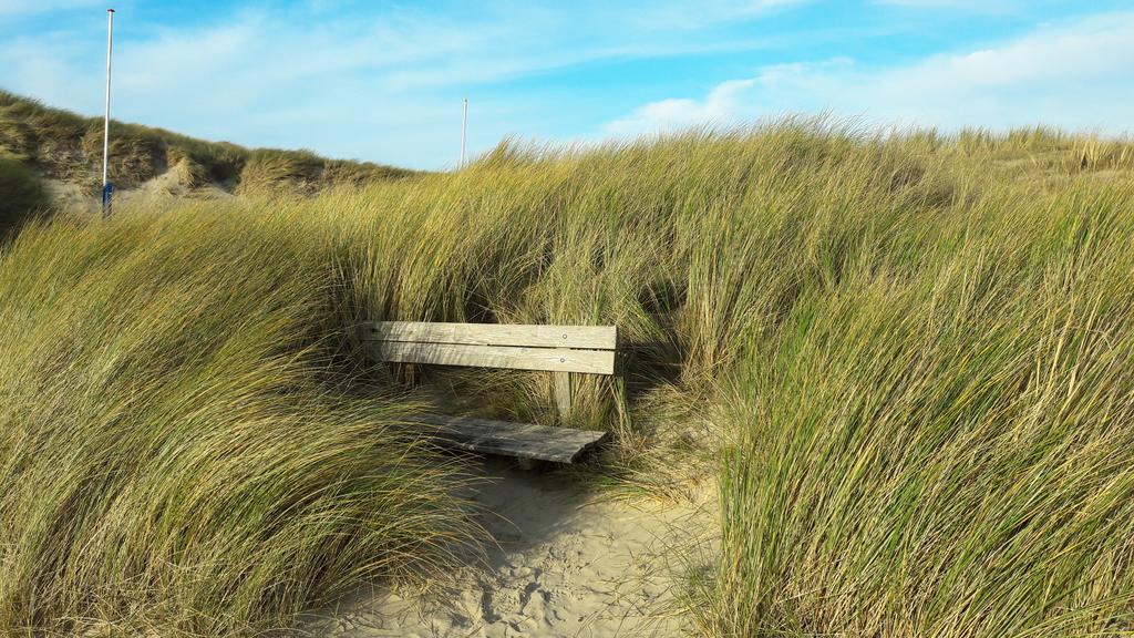 Bed En Breakfast De Pauw Wieringerwaard Esterno foto