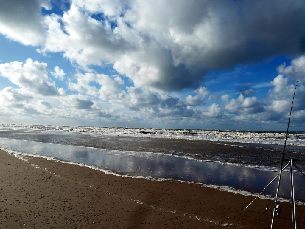 Bed En Breakfast De Pauw Wieringerwaard Esterno foto