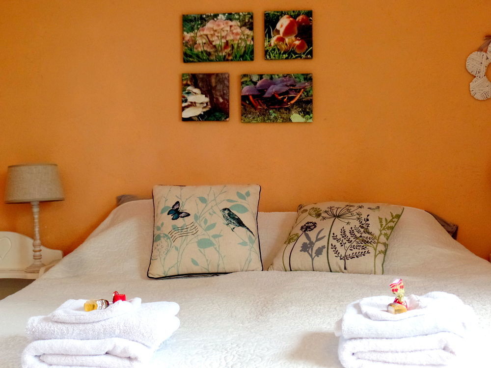 Bed En Breakfast De Pauw Wieringerwaard Esterno foto
